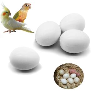 FOIBURELY 4 PCS الببغاء الصلب البيض البلاستيكي يفقس البيض الأخضر ، Lorikeet & Ringneck Dove ، Quaker ، Cockatiel. خداع الطيور للتوقف عن وضع البيض والبيض المزيف
