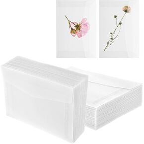 BEWUDY 50 PCS Glassine Occores ، 2.76 × 3.94 بوصة من الأكياس الزجاجية ، مظاريف رقصة ختم الورق مجموعة عملة معدنية صغيرة بذور الخضار بطاقات تخزين اليانصيب المنزلية.