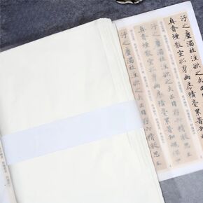 100pcs أوراق ورق الأرز ، ورقة جناح Cicada ، ورق الأرز المصنوع من الخيزران القديم المصنوع يدويًا للحرف اليدوية ، وينفورن ، شبه روبية ، لخطو ، الرسم والحرف (لون الصلصة ، 9.4 * 15.7in)