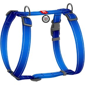 Waudog Nylon Dog Harness مع QR-Passport ، Design Indie ، Fastex البلاستيك ، S ، W 15 مم ، A 30-40 ، B 30-50
