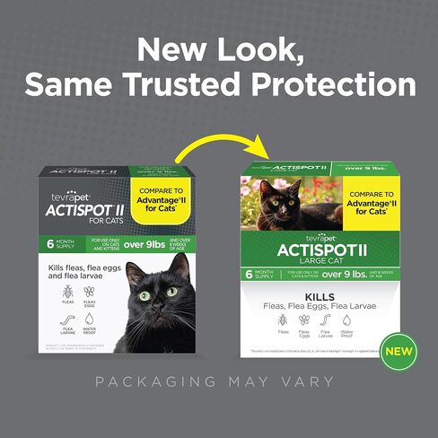 TevraPet Actispot II Flea Treatment for Small and Medium Cats 5-9 lbs | 6 Doses | Powerful Prevention and Control, Clear in Saudi Arabia
