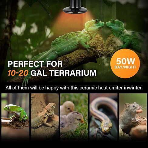 Simple Deluxe 50W Ceramic Heat Emitters, Pack of 4 Reptile Heat Lamp Bulbs for Amphibian Pet & Incubating Chicken (Black, 50 Watts) in Saudi Arabia