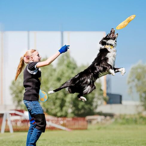 Duck Squeaky Dog Toy, New 2025 Indestructible Dog Toy for Aggressive Chewers, Stuffed Toy with Two Tough Layers, Interactive Tug Training to Keep Them Busy, Yellow in Saudi Arabia