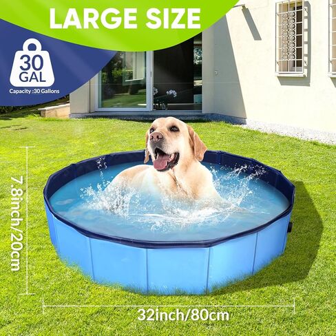 Dog Pool, Foldable Pet Swimming Pool with 6mm High-Strength PP Board, Hard Plastic Collapsible Doggy Pools for Small Dogs Kitty Duck,Non-Slip Doggie Bathtub Quick to Set Up and Drainage Hole(32x8in) in Saudi Arabia