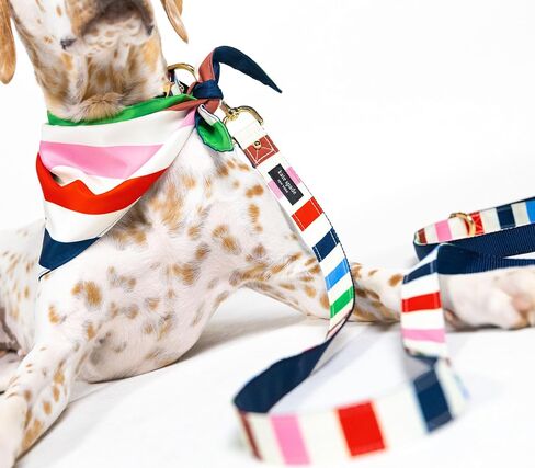 kate spade new york 6ft Dog Leash, Heavy Duty Leash for Female or Male Dogs, Cute Pet Leash with Gold Metal Hardware, Long Dog Lead for Medium and Large (Watercolor Dot) in Saudi Arabia