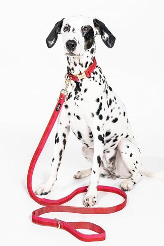 Kate Spade New York 6ft Dog Leash ، مقود ثقيل للكلاب الإناث أو الذكور ، مقود الحيوانات الأليفة اللطيف مع أجهزة معدنية ذهبية ، الرصاص طويل الكلب للمتوسطة والكبيرة (النقطة المائية) in Kuwait