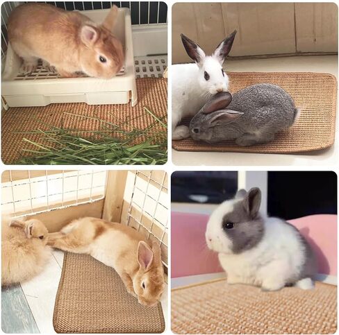 Rabbit Scratching Pad, 16 x 12 Inch Natural Sisal Bunny Scratch Mat Scratcher Mats Claws and Teeth Care for Biting Sleeping Nesting Small Animal Bedding Chew Toys Bed Play Toy (Brown, 1Pc) in Saudi Arabia