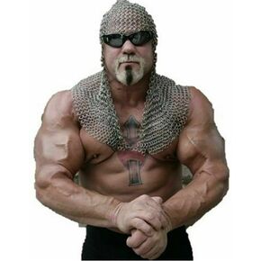 ألومنيوم سلسلة محرك السيارة متسلسل Head Head Hood Aluminium Chainmail غطاء محرك أقصى كبير في السلسلة متسلسلة متسلسل