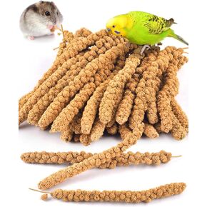 كاتومو رذاذ الدخن علاج لطيور الحيوانات الأليفة ، طيور الطائر المجفف بالشمس الدخن ببغاء الببغاء الببغاء بودجي كوكاتييل