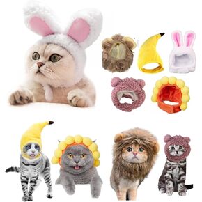 مجموعة القبعات القطط الرائعة (5 أجهزة كمبيوتر) - موازنة Banana Frog Lion Bunny Bear Bear ، فوتشوت فوتشوت أدوات للقطط (تصميم قابل للتعديل)
