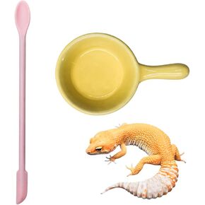إكسسوارات Gecko ، وعاء الطعام الخزفي مع ملعقة السيليكون للهروب ، طبق الطعام الزواحف للهجوة ، الفهد