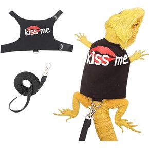 Bearded Dragon Harness and Leash Set - Cute Lizard Reptile Small Animal Adjustable Harness Clothes with Short Leash for Walking Outdoor (Grey)