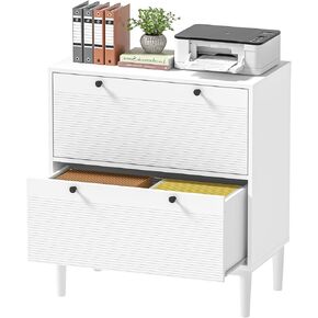 Rattan Lateral File Cabinet with 2 Drawers,Filing Cabinet with Adjustable Hanging Bar, Printer Stand & Home Office Storage for Letter, A4 & Legal Size