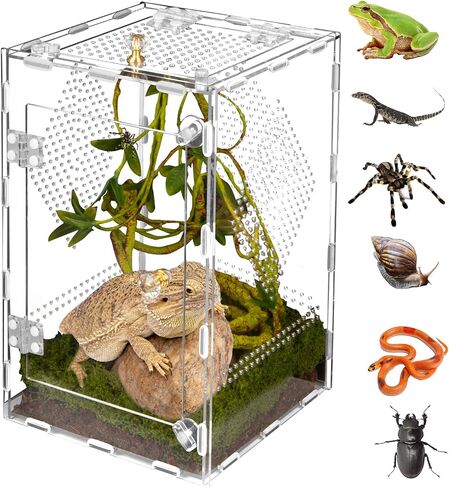 Acrylic Reptile Terrarium Easy Assembly, 360° Clear & Keep Pet Secure Design for Jumping Spiders, Tarantulas, Geckos Scratch-Resistant Large Ventilated Habitat Terrarium for Arachnids 11.8*7.9*7.9in in Kuwait