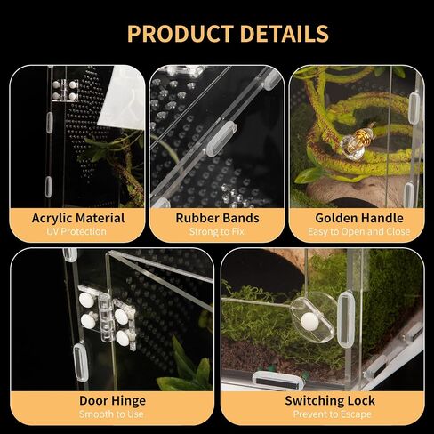 Acrylic Reptile Terrarium Easy Assembly, 360° Clear & Keep Pet Secure Design for Jumping Spiders, Tarantulas, Geckos Scratch-Resistant Large Ventilated Habitat Terrarium for Arachnids 11.8*7.9*7.9in in Kuwait