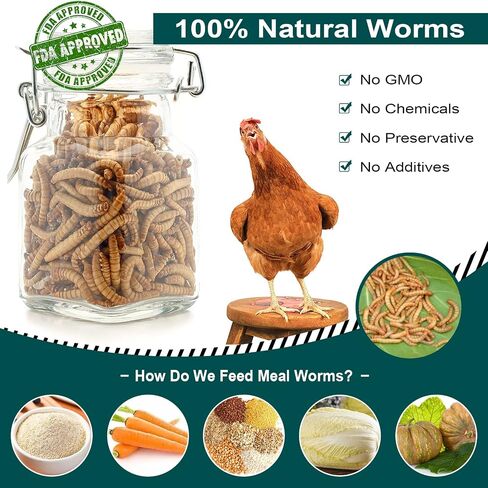 5LB 100% Natural Non-GMO High Protein Dried Mealworms, Large Size No Moisture, Perfect for Chickens Birds Hedgehog Hamster Fish Reptile Turtles in Kuwait