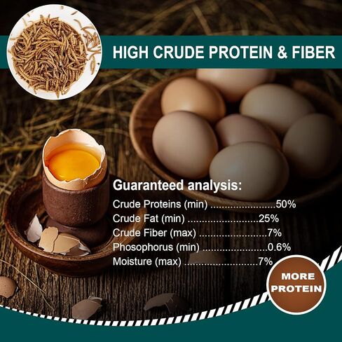 5LB 100% Natural Non-GMO High Protein Dried Mealworms, Large Size No Moisture, Perfect for Chickens Birds Hedgehog Hamster Fish Reptile Turtles in Kuwait