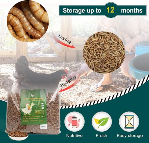 5LB 100% Natural Non-GMO High Protein Dried Mealworms, Large Size No Moisture, Perfect for Chickens Birds Hedgehog Hamster Fish Reptile Turtles in Kuwait