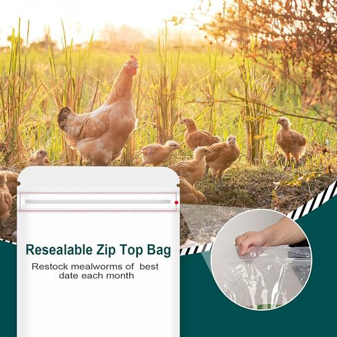 5LB 100% Natural Non-GMO High Protein Dried Mealworms, Large Size No Moisture, Perfect for Chickens Birds Hedgehog Hamster Fish Reptile Turtles in Kuwait