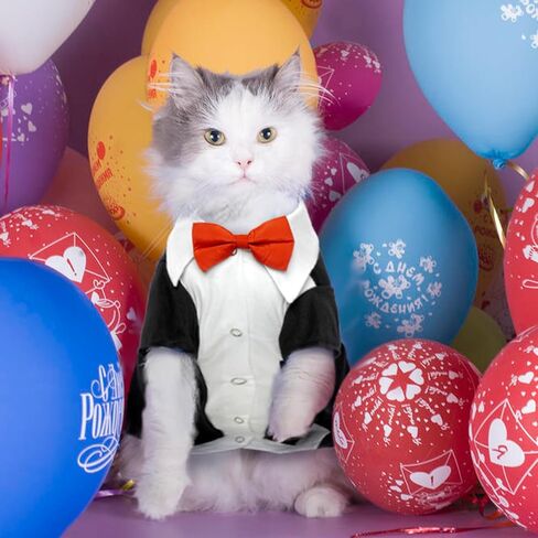 QBLEEV Cat Tuxedo Suit, Sphynx Cat Suit for Cat with Two Bow Tie, Cat Tuxedo Outfit for Birthday Photo Shoot, Formal Onesie Attire Wedding Costumes for Kitten, Male Cat Clothes for Hairless Cats Only in Saudi Arabia