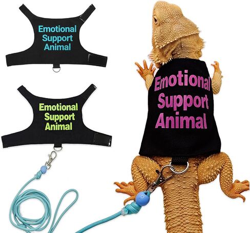 Bearded Dragon Lizards Clothes with Leash Set - Cute Lizard Reptile Small Animal Adjustable Harness Clothes for Walking Outdoor Security Costume Photo Prop(Pink in Kuwait