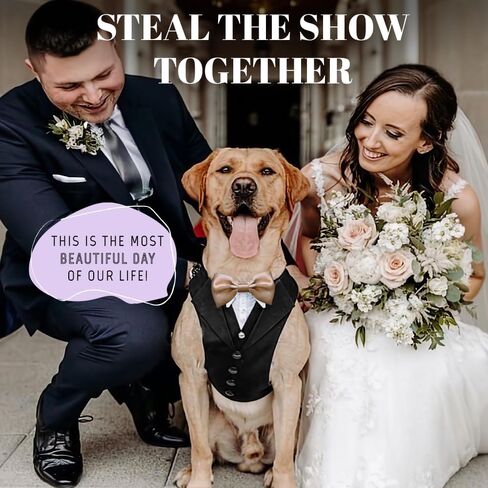 Dog Tuxedo for Wedding Outfit, Dog Suit and Tie Costumes for Birthday, Halloween, Cosplay, Christmas Party, Pet Formal Wear with Bowtie, Tux for Medium Large Dogs, Bulldog, Labrador, Husky in Kuwait