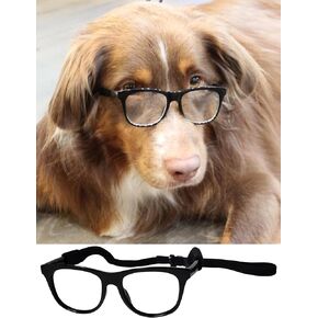 G006 Dog Pet 80s Costume Sunglasses Prophoot Photoshote Medium Breeds 20-40 LBS (عدسة سوداء متوسطة)