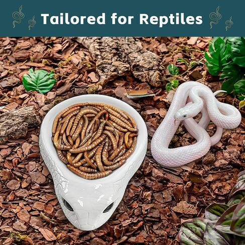 Sturdy Snake Water Bowl,Reptile Food Dish,Sturdy Resin Dish,for Lizards Snakes Bearded Dragons Gecko Small Pet(6.3" L x 4.7" W x 1.6" H) (Black) in Kuwait