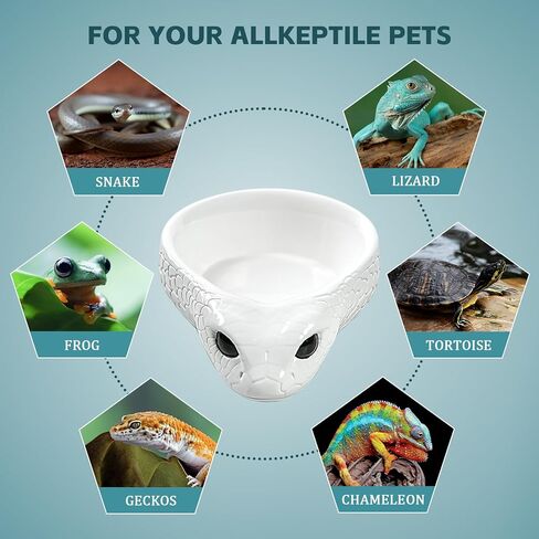 Sturdy Snake Water Bowl,Reptile Food Dish,Sturdy Resin Dish,for Lizards Snakes Bearded Dragons Gecko Small Pet(6.3" L x 4.7" W x 1.6" H) (Black) in Kuwait