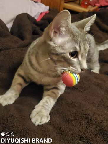 Cat Toy Bundle with 15 Assorted Toys, Including Soft Fuzzy Balls, Feather Mice, and Sturdy Plastic Balls, Fully Safe and Long-Lasting, Designed to Stimulate Play and Hunting Instincts in Cats in Saudi Arabia