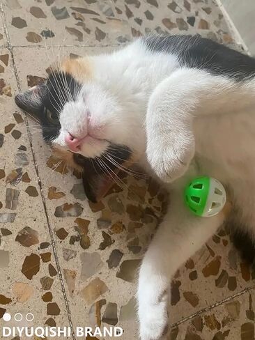 Cat Toy Bundle with 15 Assorted Toys, Including Soft Fuzzy Balls, Feather Mice, and Sturdy Plastic Balls, Fully Safe and Long-Lasting, Designed to Stimulate Play and Hunting Instincts in Cats in Saudi Arabia