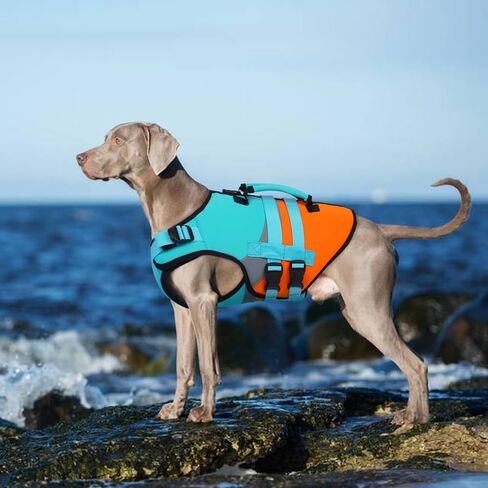 Kuoser Dog Life Jacket, Large High Flotation 2XL Dog Life Vest for Swimming Boating, Reflective Dogs Swimsuit Lifejacket, Pet Life Preserver with Double Rescue Handle, Blue, XXL in Saudi Arabia