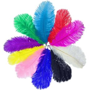 ريش النعامة الطبيعية الملونة ، 10pcs 8-10 Inche (20-25 سم) ، نعضلة متعددة الألوان الريش الكبير لحفلات الزفاف الحلم ، زخارف الحفلات ، الحرف اليدوية DIY ، ديكورات منزلية (ملونة ، 8-10 بوصة)