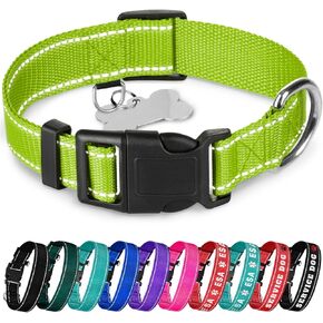 TECEUM Reflective Pet Collar – Teal – M – Basic Nylon Dog Collar – Quick Release Buckle – Fits Small, Medium and Large Dogs, Puppies, Cats – ESA & Service Dog Options