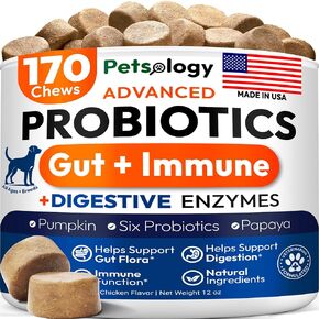 Probiotics for Dogs - 170 Dog Probiotics Chews - Digestive Enzymes & Prebiotics - Support Gut Health, Diarrhea, Gas & Constipation Relief - Itchy Skin, Allergies, Yeast Balance - Pet Supplement