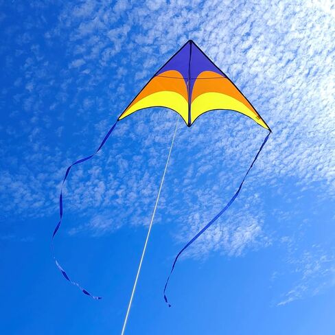 Large Beach Delta Kites for Adults and Kid Ages 8-12 and 4-8,Easy to Fly Kite for Beginners and Toddlers (3 Packs), Single Line Kite with 300 ft String Handles. in Saudi Arabia