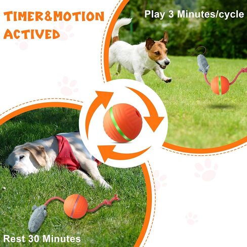 Interactive Dog Toys Dog Ball, Motion Activated Automatic Rolling Ball with Remote Control for Small/Medium/Large Dogs & Cats, Squeaky Dog Moving Ball Toys, Type-C Rechargeable (Fish) in Saudi Arabia