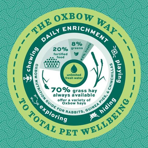 Oxbow Hay Toppers Meadow Blend, Herbivore Treats, Foraging Enrichment for Rabbits, Chinchillas, Guinea Pigs, and Other Small Herbivores, Timothy Hay Topper, Premium Feed Topper, 2oz in Kuwait