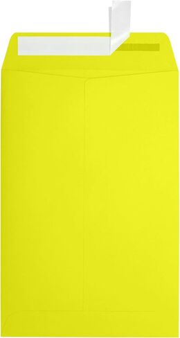 LUXPaper 6 x 9 Open End Envelopes | Peel & Press | Pool Blue | 80lb. Text | 50 Qty in Saudi Arabia