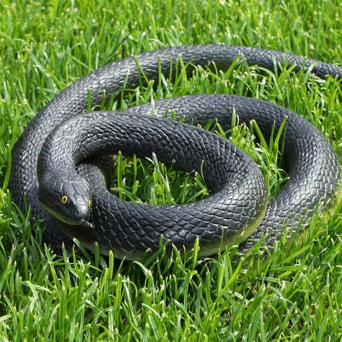 Alphatool Halloween Fake Snakes - 2 Pcs Realistic Rubber Rattlesnake Snake, Lifelike, Looks Super Real, Prank Snake Toy for Halloween Decoration Party Props or Haunted House Decorations in Saudi Arabia