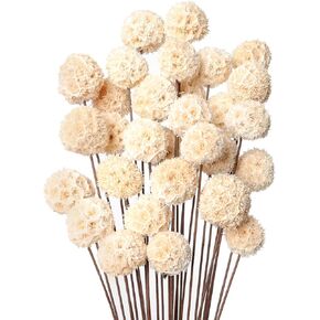 30 PCS Natural Dried Flowers Craspedia Billy Balls Flowers Dried Flowers Bouquet Wildflowers Floral Bouquet Boho Table Decor Dried Flowers for Vase Party DIY Home Decor (White)