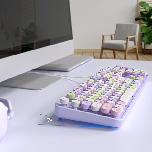 Wired Keyboard, 104 Keys Full-Sized Typewriter Keyboards, USB Office Keyboard with Number Pad, Caps Indicators, Foldable Stands for Windows, PC, Laptop, Desktop (Purple Colorful) in Saudi Arabia