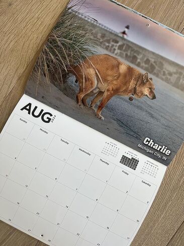 White Elephant Gag Gift Calendar in Kuwait