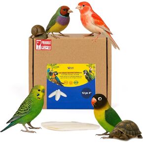 Birds LOVE Natural Cuttlebone – Premium Calcium & Trace Mineral Supplement for Avian Species, Tortoises, and Snails – Pure Cuttlebone for Parakeets and All Birds - 12 Pack, Size 3.5 to 4"