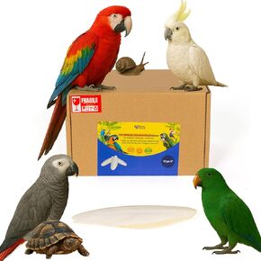 Birds LOVE Natural Cuttlebone | 100% Pure Sun-Dried Calcium Supplement for Birds, Tortoises, Snails & Crabs | Supports Beak & Shell Health | Easy to Chew | 12 Pack, Size 7.5-8"