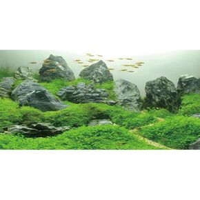 AWERT 30x12 بوصة حجر السمكة أسماك الخلفية المائية نهر نهر سرير وبحيرة حوض السمك الخلفية فينيل الخلفية