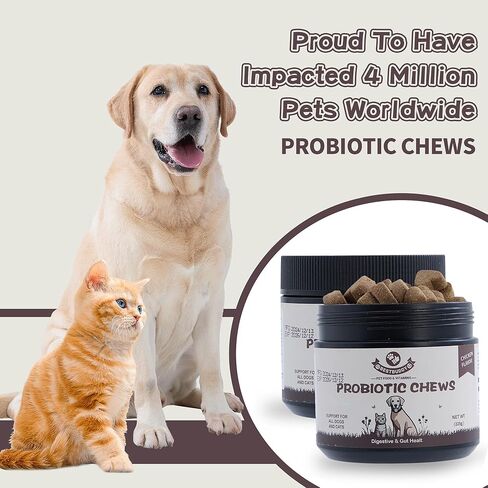BestBuddy Probiotic Chews for Dogs and Cats, Chicken Flavors – Digestive & Gut Health Support – 225g – 100% Natural, Pet-Safe, Supports Healthy Digestion, Immunity, and Skin Health (Chicken) in Saudi Arabia