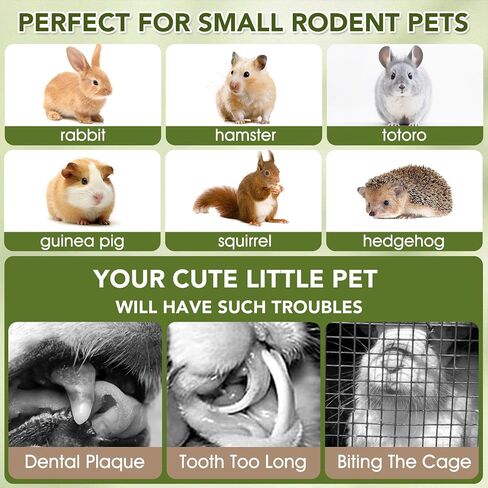 12pcs rabbit phem sticks ، معلق العصي المضغ والكعك تيموثي القش روز معالجة الكريسانثيموم لأرنب شينشيلا غينيا خنزير الهامستر والحيوانات الأليفة الصغيرة الأخرى وجبة خفيفة in Kuwait