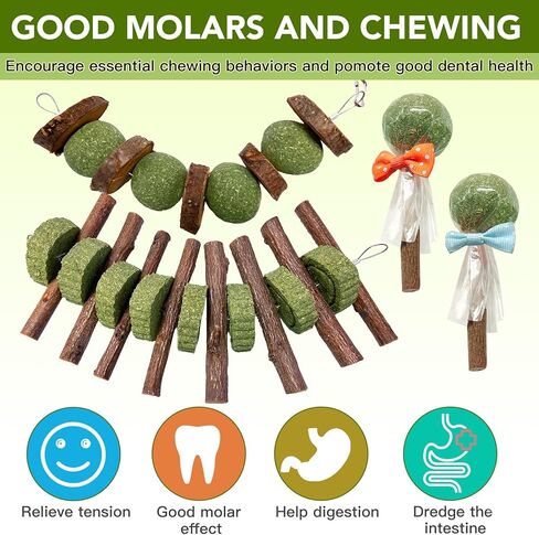 12pcs rabbit phem sticks ، معلق العصي المضغ والكعك تيموثي القش روز معالجة الكريسانثيموم لأرنب شينشيلا غينيا خنزير الهامستر والحيوانات الأليفة الصغيرة الأخرى وجبة خفيفة in Kuwait