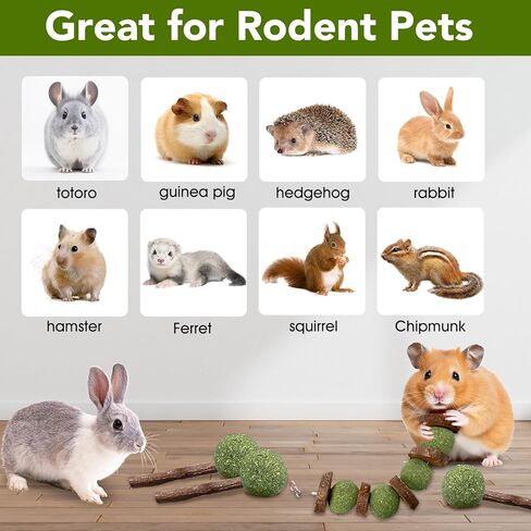 12pcs rabbit phem sticks ، معلق العصي المضغ والكعك تيموثي القش روز معالجة الكريسانثيموم لأرنب شينشيلا غينيا خنزير الهامستر والحيوانات الأليفة الصغيرة الأخرى وجبة خفيفة in Kuwait